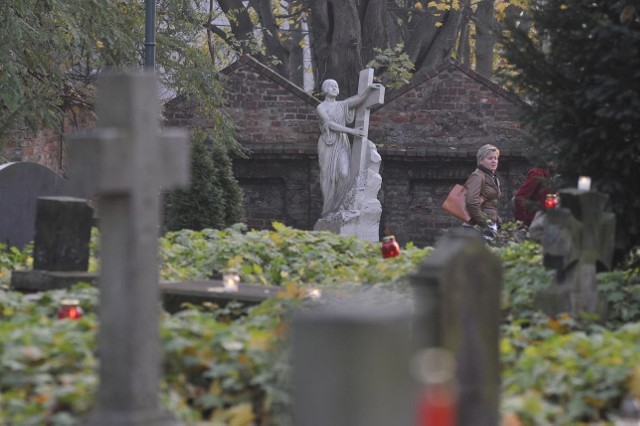 Wyszukiwarka pomoże odnaleźć grób na poznańskich cmentarzach