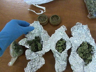 Marihuana i grzyby halucynogenne w mieszkaniu dilera z Mikołowa