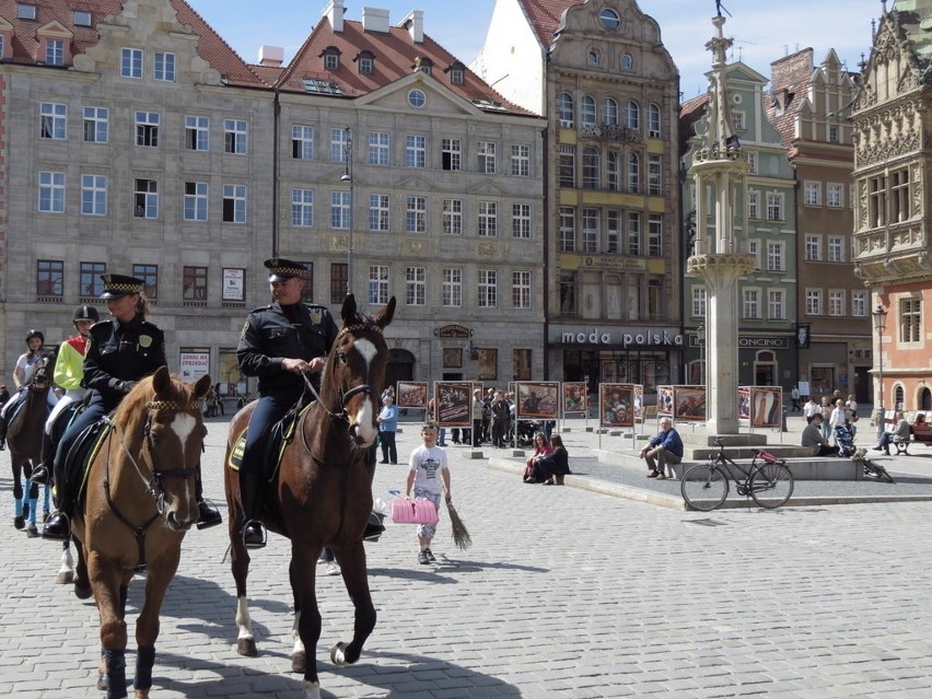 Wrocław: Parada koni w Rynku (ZDJĘCIA)
