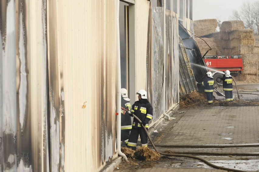 Wielki pożar w Jordanowie Śląskim. 15 zastępów straży walczyło z ogniem (ZDJĘCIA)