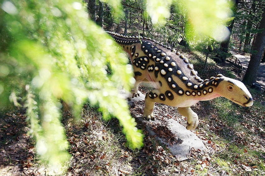 Szklarska Poręba będzie miała swój Jurassic Park