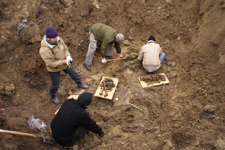 Września: Znaleziono szczątki powstańców z 1848 roku [ZDJĘCIA]