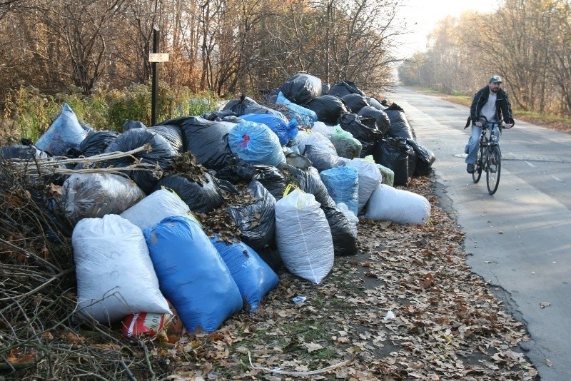 Miasto nie nadąża z wywozem liści [ZDJĘCIA]