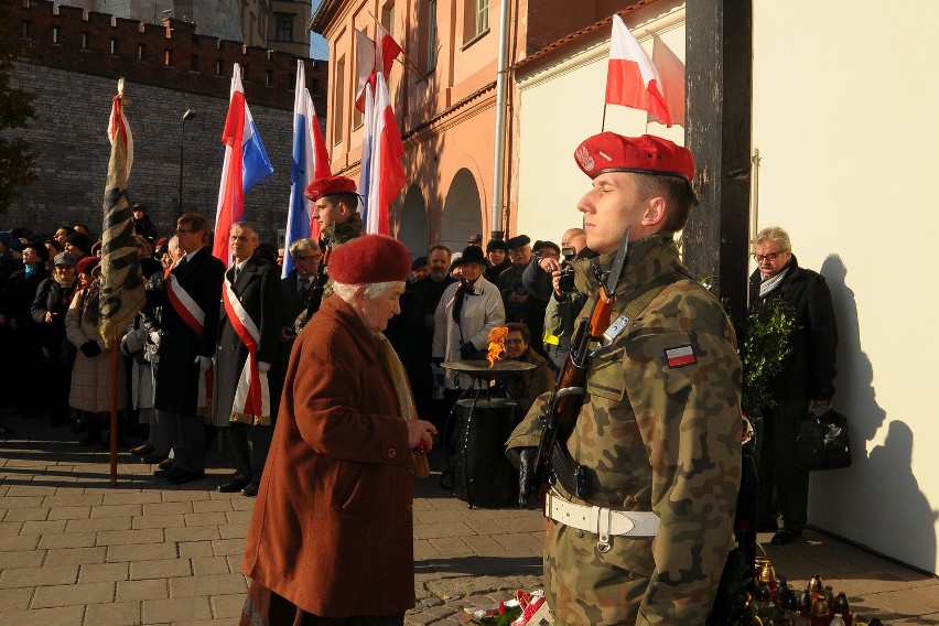 Obchody Święta Niepodległości w Krakowie [ZDJĘCIA]