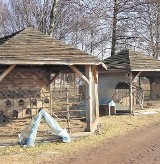  Odolanów: Mini-zoo prześwietli prokuratura