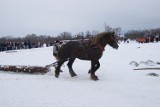 Koński weekend na Podhalu. Zawody jeździeckie w Ludźmierzu [ZDJĘCIA]