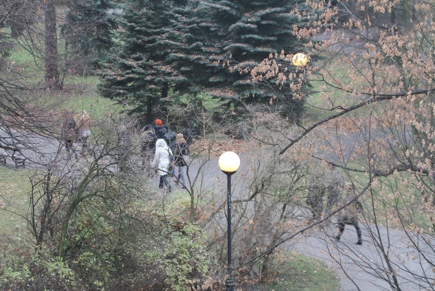 Urzędnicy, którzy płacą za oświetlenie ulic nie wiedzą,...