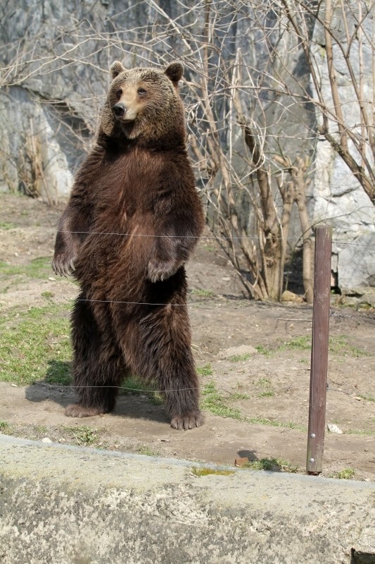 Słoneczna niedziela we wrocławskim zoo. Ostatni tani weekend w ogrodzie (ZDJĘCIA)