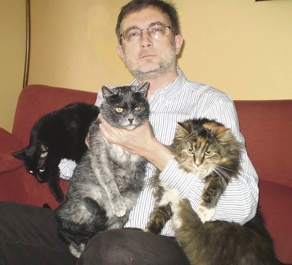 Moje koty. Od lewej: Czarli, Lemisław, Przylepka. Brakuje Przybysza, bo uciekł.