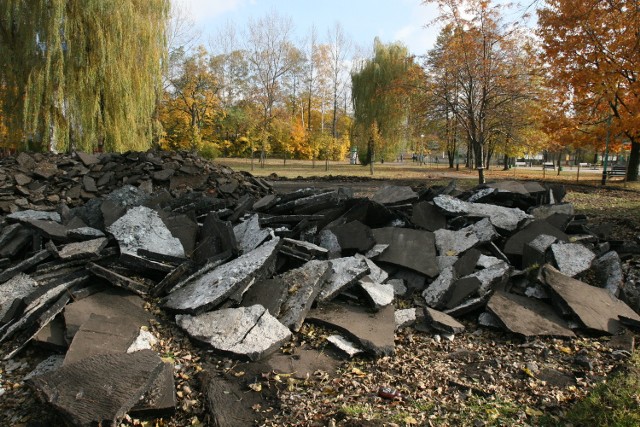 Pierwsze roboty w parku ruszyły kilka miesięcy temu