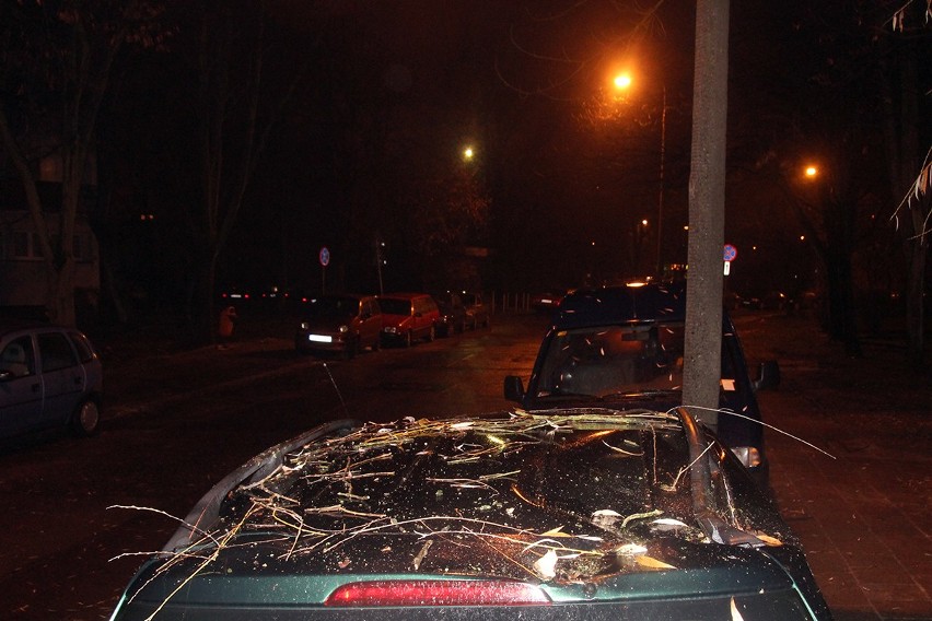 Samochód zniszczony przez złamany konar