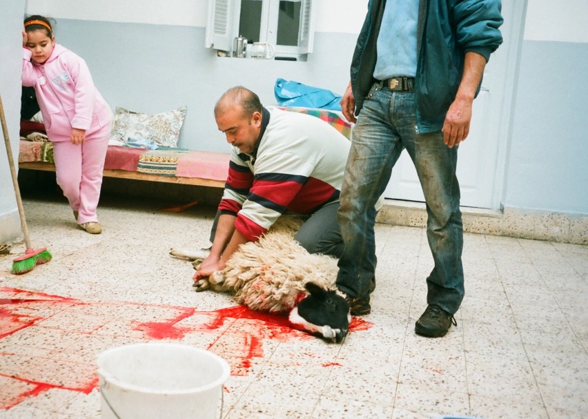 Tunezja, Sousse, Ubój rytualny podczas Święta ofiarowania