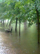 Wrocław: Wylewa Brochówka, park pod wodą (ZDJĘCIA)