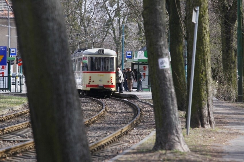 Tramwaj nr 11 jeździ na Sołaczu "od zawsze"