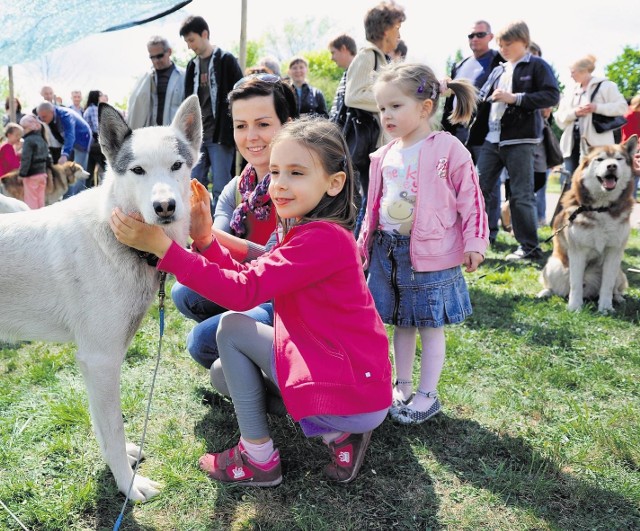 Najmłodszym najbardziej przypadła do gustu zabawa z psami rasy Husky