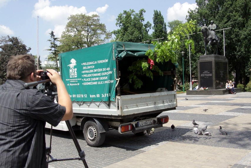 Drzewo radiowej Trójki rośnie już w Lublinie (ZDJĘCIA)