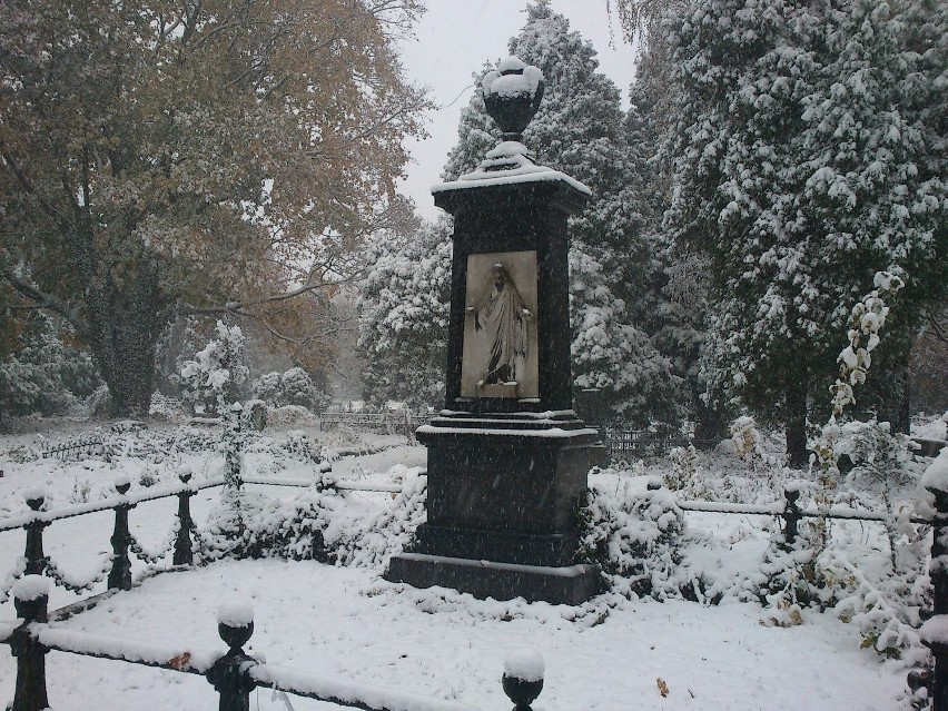 Stary Cmentarz pod śniegiem [ZDJĘCIA]