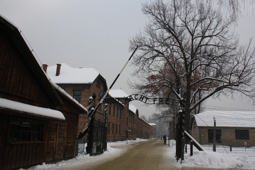 68. rocznica wyzwolenia Auschwitz. Otwarto rosyjską wystawę [ZDJĘCIA]