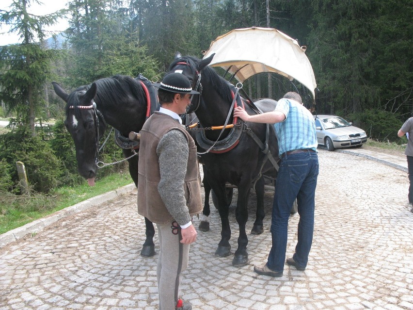 Weterynarz Marek Tischner badał konie kilka minut po tym,...