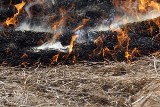 Rzezawa: strażacy zamiast gasić podpalali stodoły