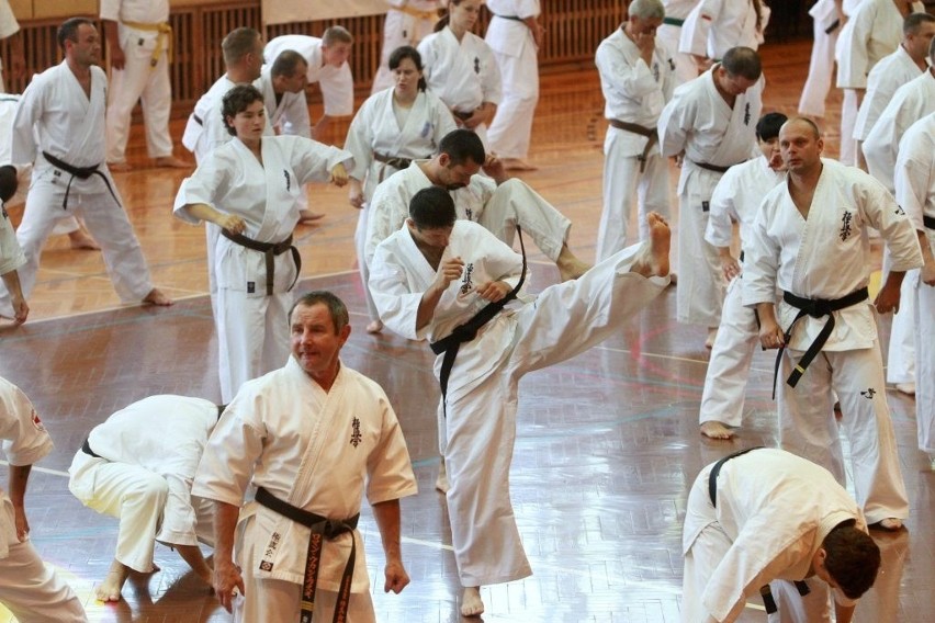 Karate kyokushin: W Lublinie rozpoczął się IKO Summer Camp 2012 (ZDJĘCIA)