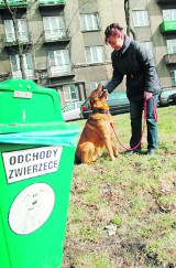 Wciąż za mało koszy na psie kupy w Krakowie?