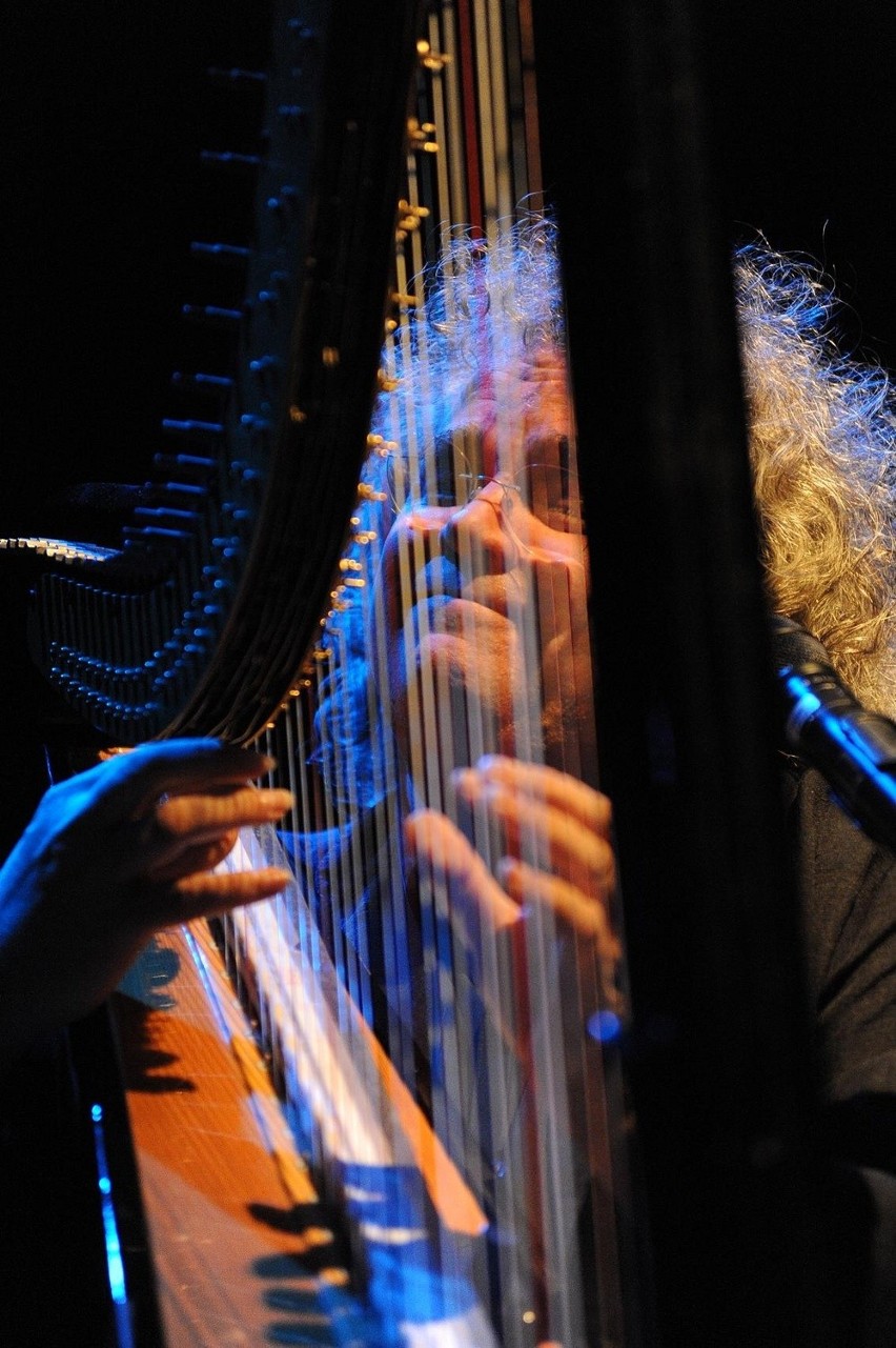 Koncert: Mistrz harfy Andreas Vollenweider zagrał w Poznaniu - ZDJĘCIA