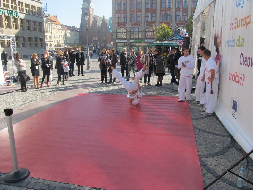 Wrocław: Wielki namiot na placu Solnym, a w nim czeka praca