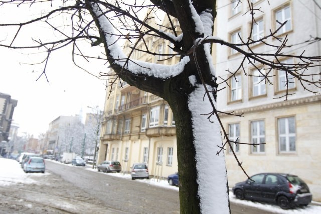Dyżurny synoptyk Instytutu Meteorologii i Gospodarki Wodnej powiedział, że nie ma szans by śnieg szybko zniknął