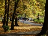 Już przymrozki i śnieg... Za taką jesienią będziemy wkrótce tęsknić. Zobacz! [ZDJĘCIA]