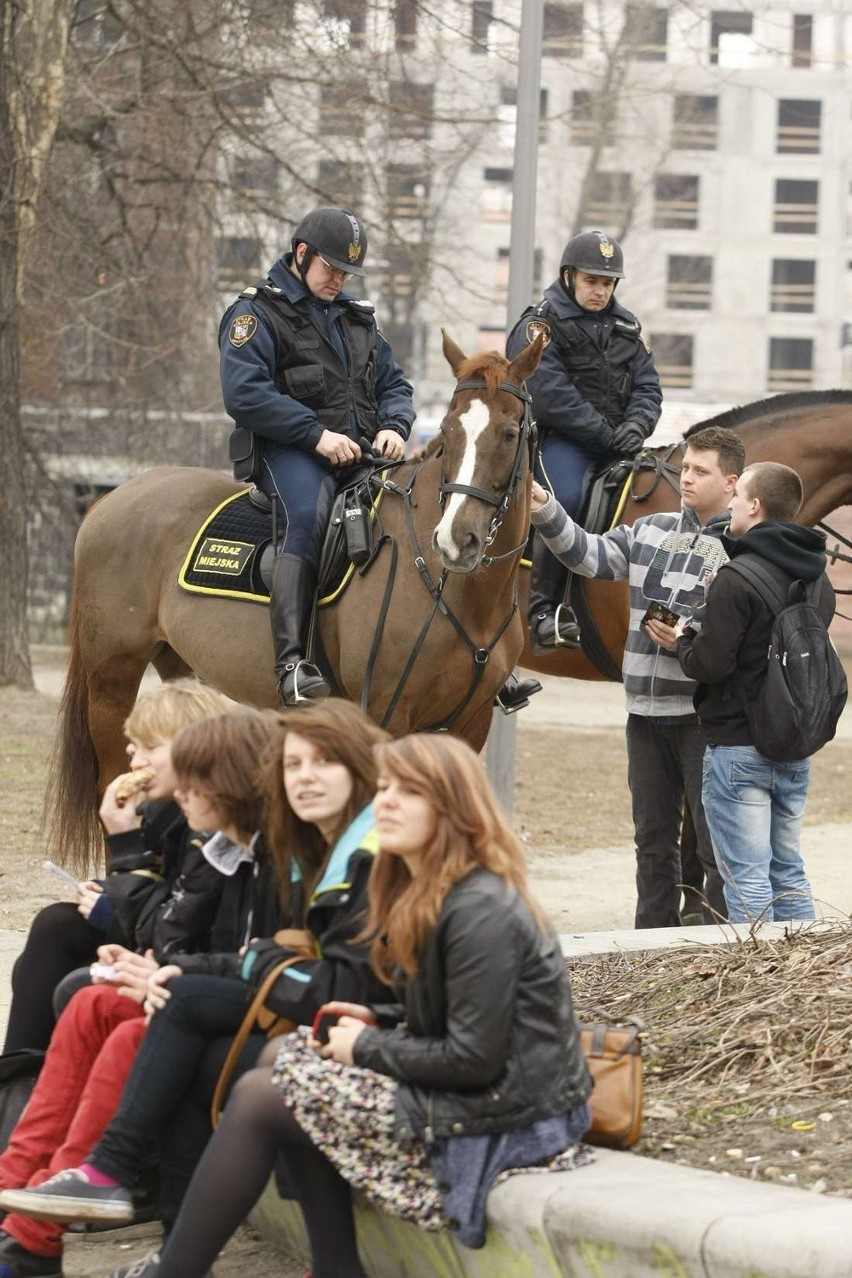 Dzień Wagarowicza na Wyspie Słodowej (ZOBACZ ZDJĘCIA)