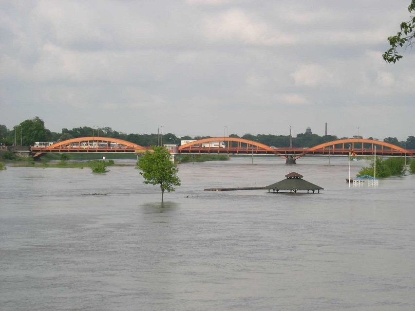 Wrocław: Most Trzebnicki, Różanka (ZDJĘCIA)