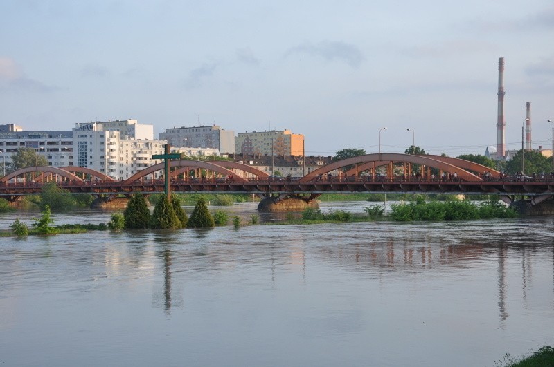 Wrocław: Okolice zoo i Most Trzebnicki (ZDJĘCIA)