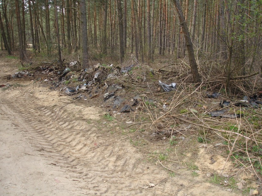 Mieszkańcy Komornik posprzątali okolice osiedla