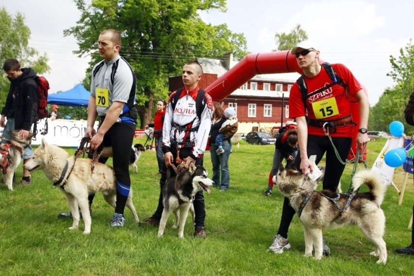 Jelenia Góra: W Przesiece odbyła się trzecia edycja Pucharu Polski w Dogtrekkingu