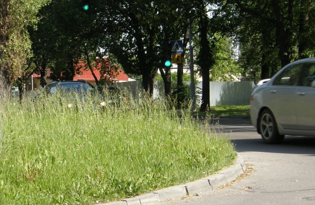 Wysoka trawa zasłaniała widok na skrzyżowaniach. To może być niebezpieczne