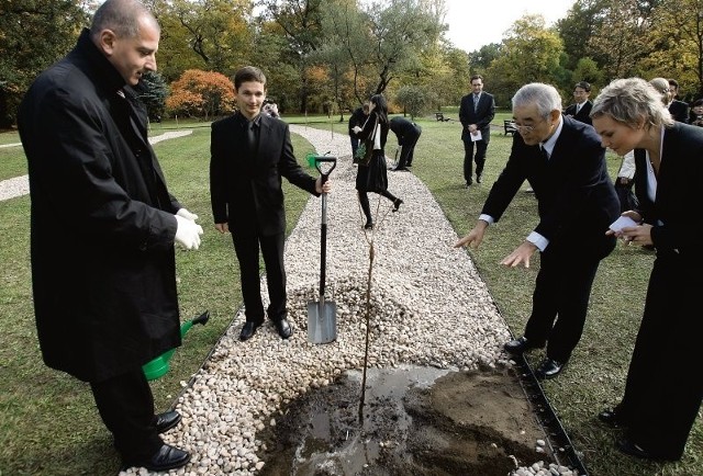 Drzewka sadzili ambasador Japonii Ryuichi Tanabe i prezydent Wrocławia Rafał Dutkiewicz.