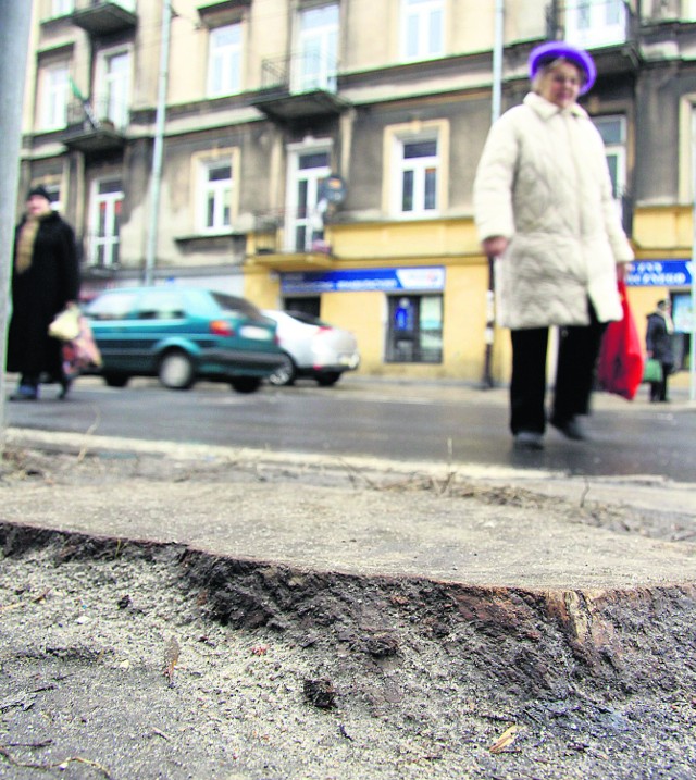 Drzewa zniknęły z ul. Lubartowskiej 24 i 26