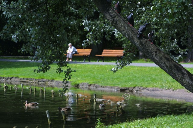 Zwycięzcą naszego plebiscytu został park Sołacki. Dlaczego? Bo można w nim odpocząć i poobcować z naturą