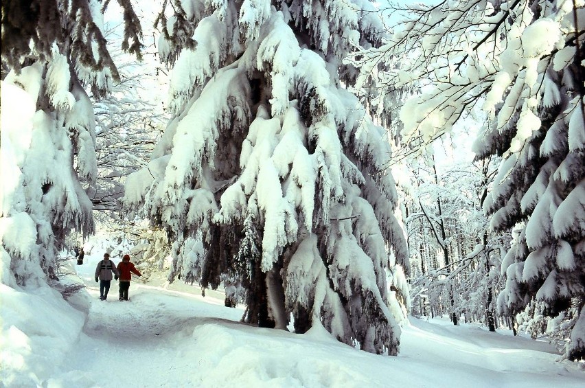 Wsie w Beskidach odcięte od świata przez śnieg [ZDJĘCIA]