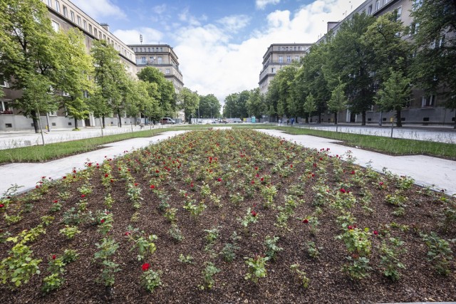 Obszar o powierzchni blisko 1 hektara, na odcinku między placem Centralnym a aleją Przyjaźni zamienił się w duży zieleniec, w którym będzie można wypocząć wśród drzew i zapachu róż. Na terenie placu zlokalizowane zostały ławki i kosze na śmieci nawiązujące do historycznych form znanych z fotografii. Pojawiają się również stojaki rowerowe.