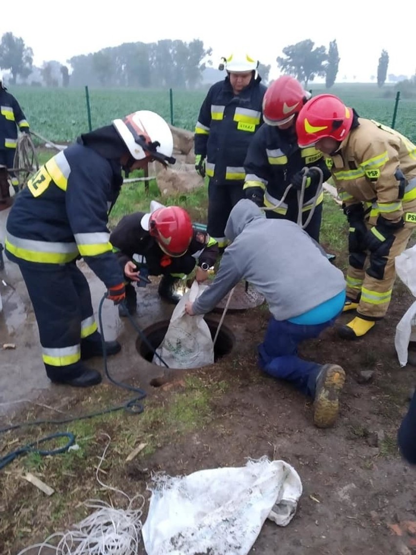 Wnętrze szamba przekraczało 60 metrów kwadratowych, panowała...