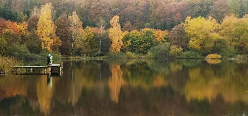 Na zdjęciu jezioro Dębinko w gminie Łabiszyn. Zobaczcie inne...