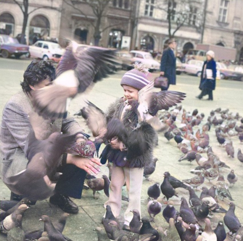 Karmienie gołębi na Rynku Głównym. W oddali zabytkowe...