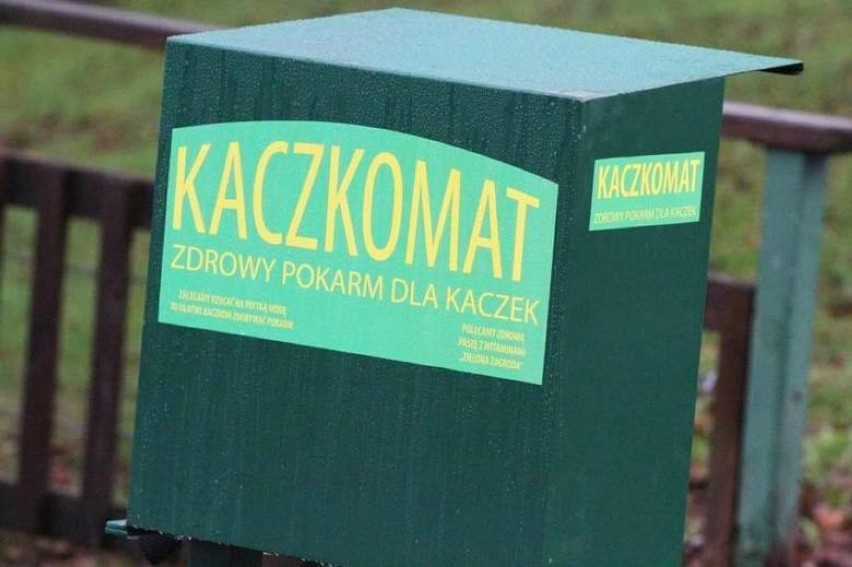Automat z karmą dla kaczek pojawił się w parku przy ul. Wojska Polskiego i Dworcowej w Kościerzynie