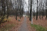 Kraków: Park Lotników Polskich czeka na rewitalizację [ZDJĘCIA]