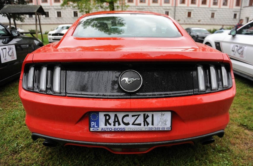 Z Bóbrki koło Krosna wystartował Mustang Race 2016. 50...