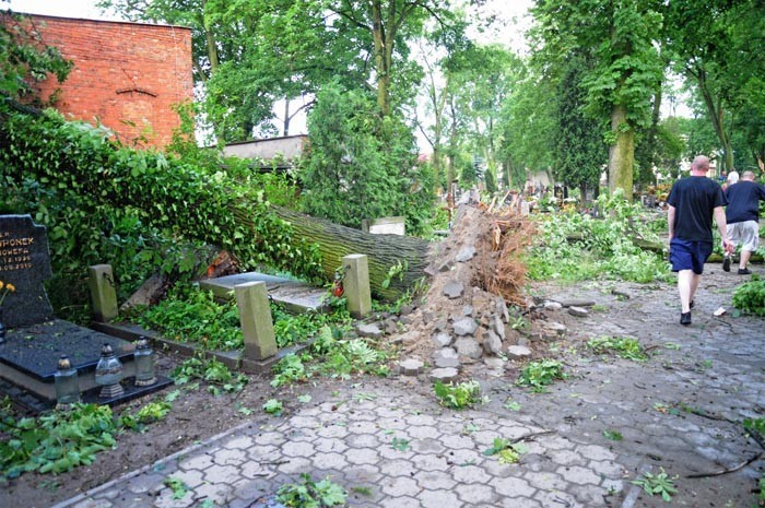 Śrem: zniszczenia po huraganie na cmentarzu parafialnym przy ul. Cmentarnej