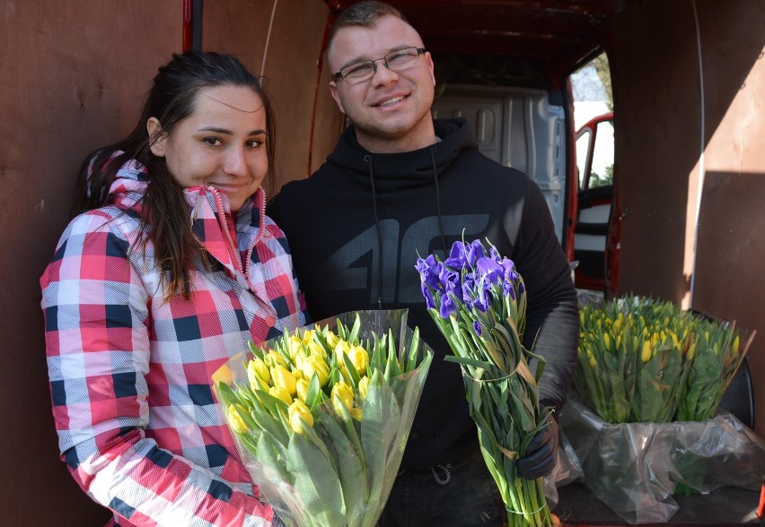 Koronawirus, Piotrków. Tulipany od ogrodnika po kosztach - piotrkowianie pomogli w zbyciu kwiatów [ZDJĘCIA]