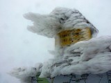 Chcesz zobaczyć zimę, przyjedź w Bieszczady! Śnieg leży powyżej 900 m n.p.m. [ZDJĘCIA]